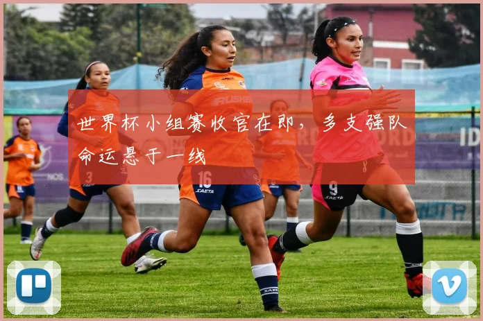 世界杯小组赛收官在即，多支强队命运悬于一线