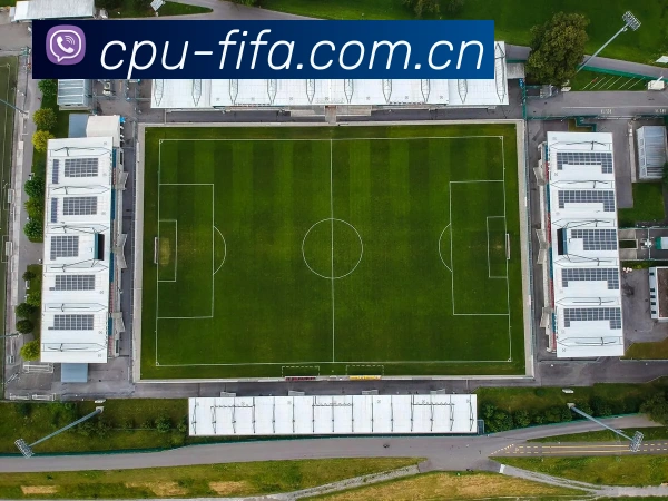 2026世界杯 APP 界面演示